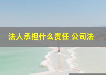 法人承担什么责任 公司法